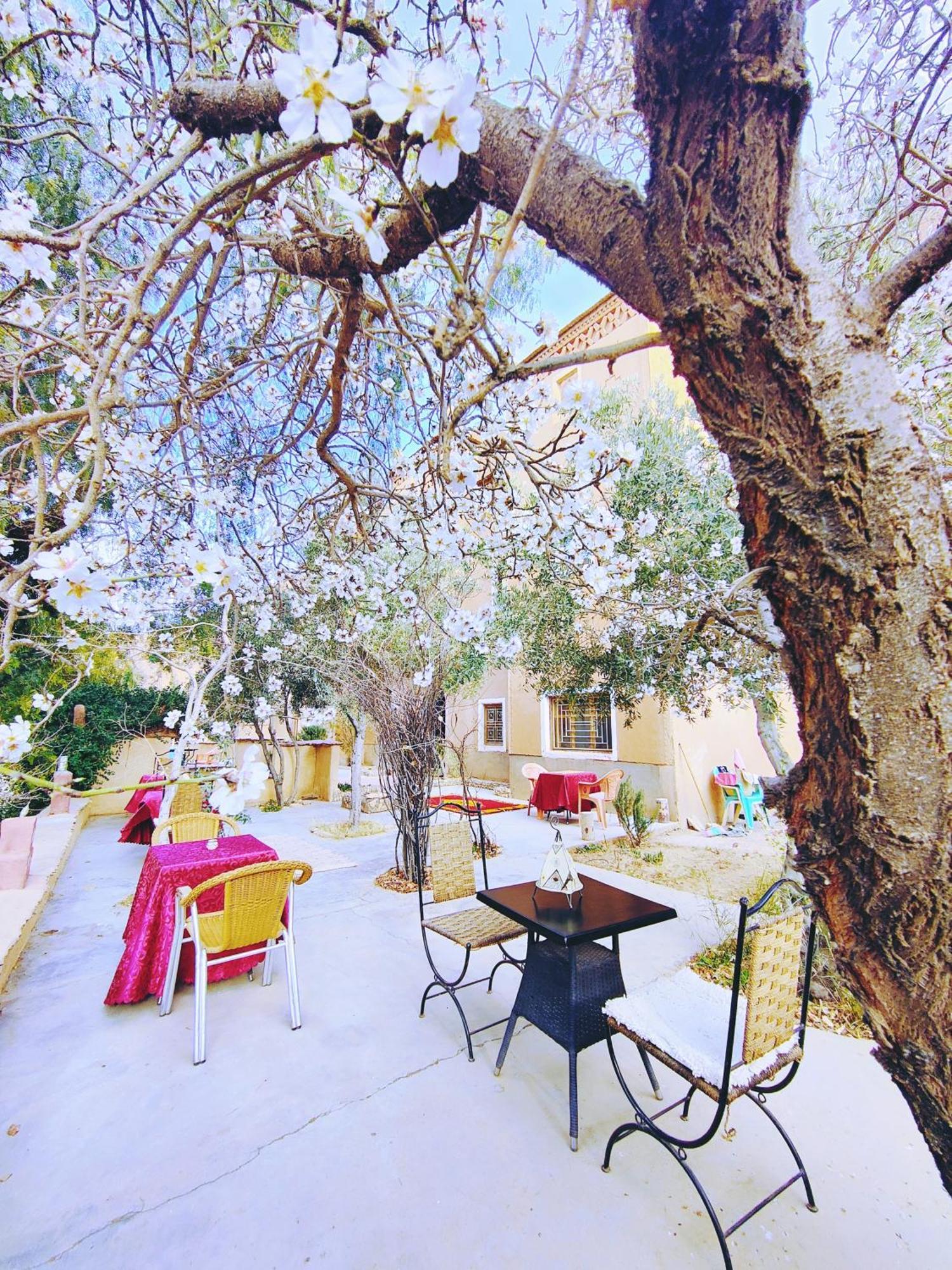 Riad Kasbah des Roches Akhendachou n'Ait Ouffi Extérieur photo