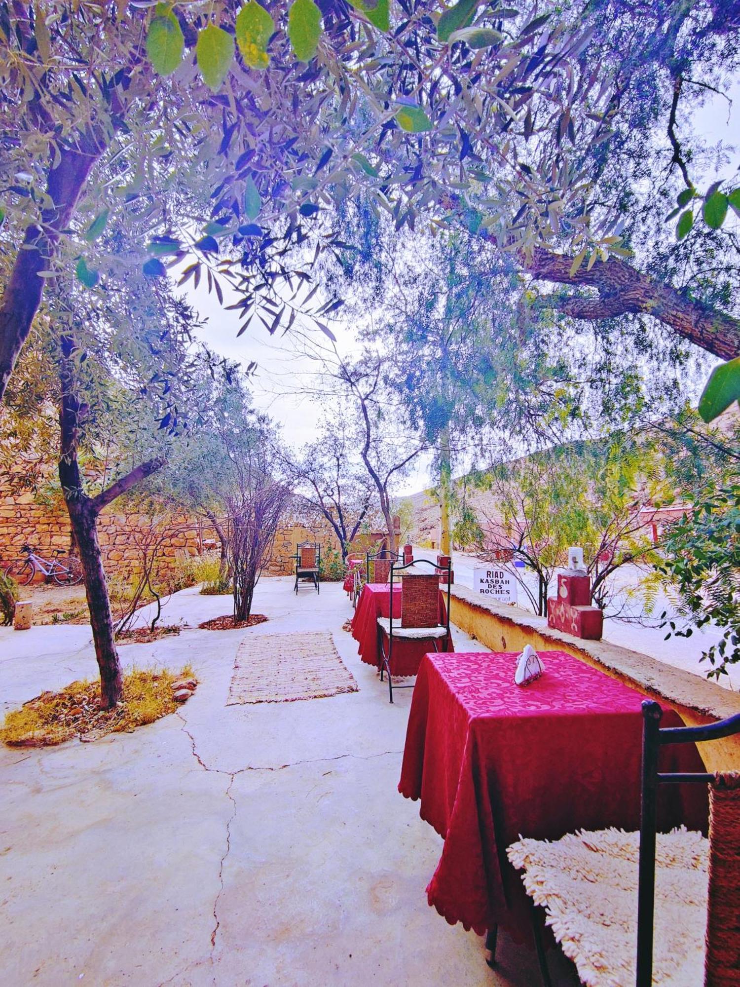 Riad Kasbah des Roches Akhendachou n'Ait Ouffi Extérieur photo